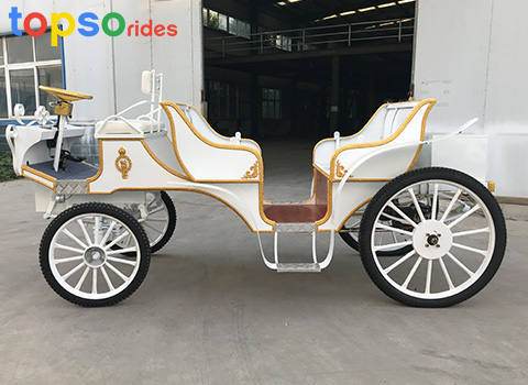 Sightseeing Horse Carriage