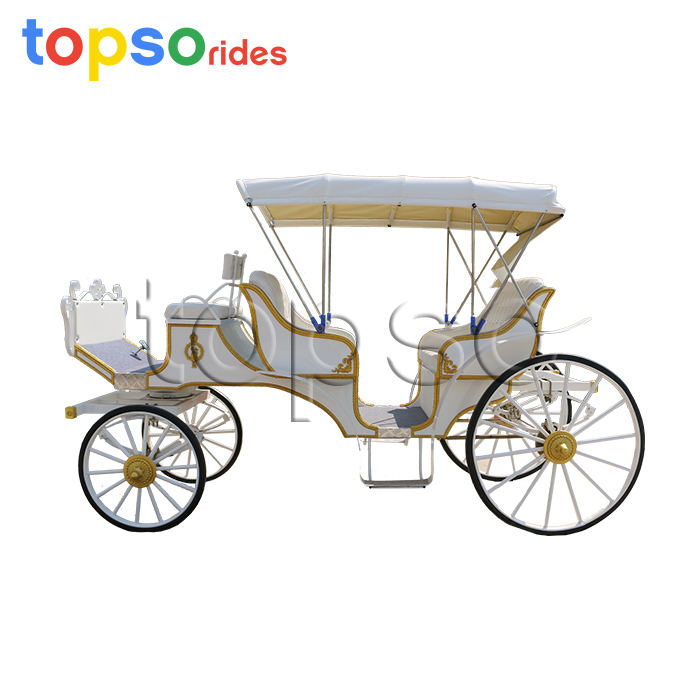 Sightseeing Horse Carriage