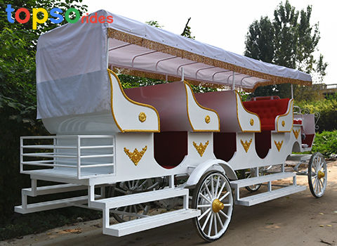 sightseeing horse carriage